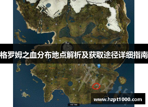 格罗姆之血分布地点解析及获取途径详细指南