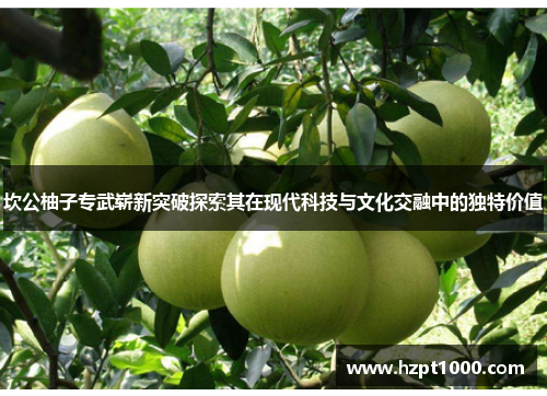 坎公柚子专武崭新突破探索其在现代科技与文化交融中的独特价值
